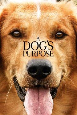  A Dog's Purpose 