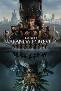  Black Panther: Wakanda Forever 