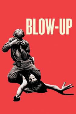  Blow-Up 