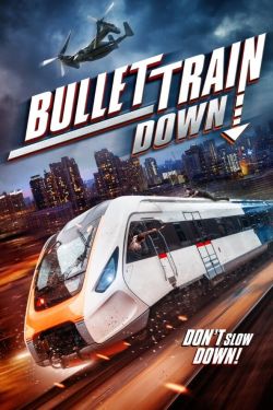  Bullet Train Down 