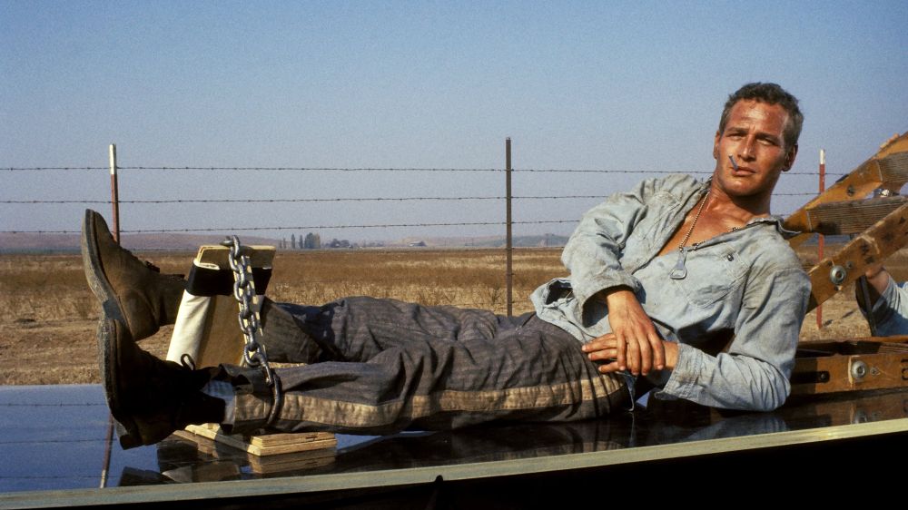  Cool Hand Luke 