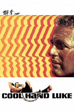  Cool Hand Luke 