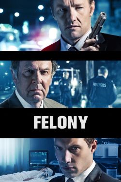  Felony 