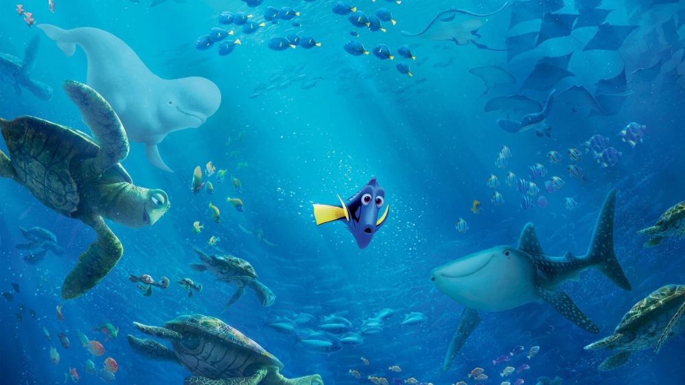  Finding Dory 