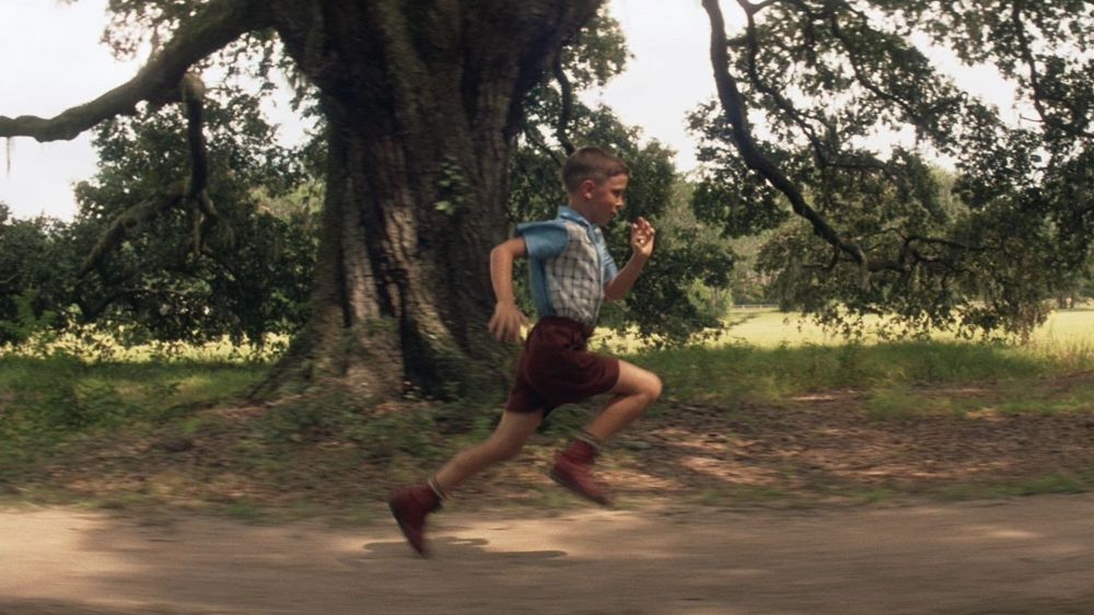  Forrest Gump 