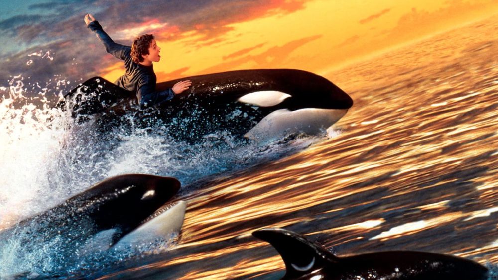  Free Willy 2: The Adventure Home 