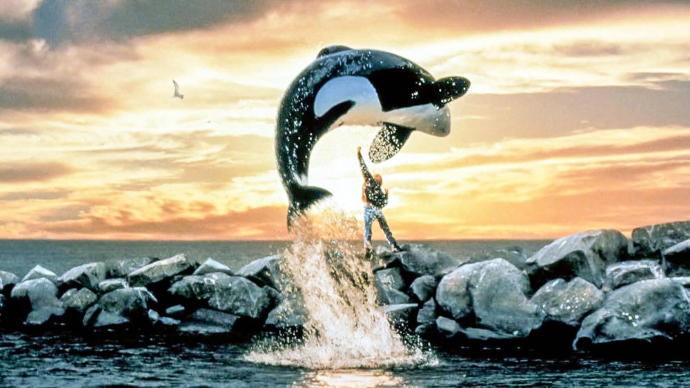  Free Willy 