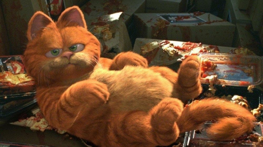  Garfield 