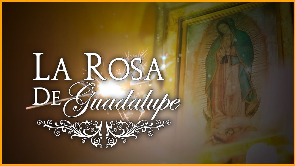  La rosa de Guadalupe 