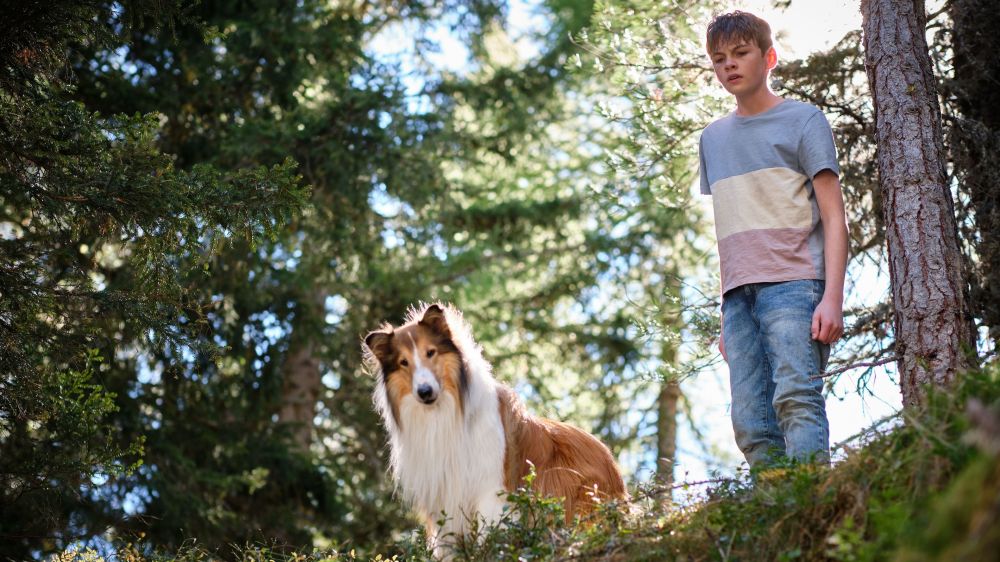  Lassie: A New Adventure 