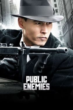  Public Enemies 