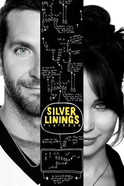  Silver Linings Playbook 