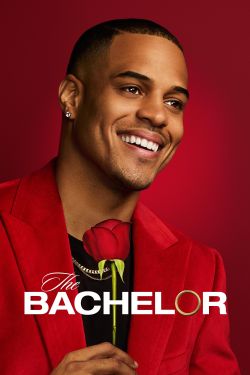  The Bachelor 