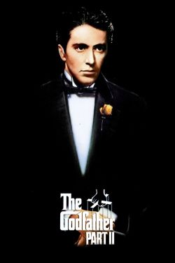  The Godfather Part II 