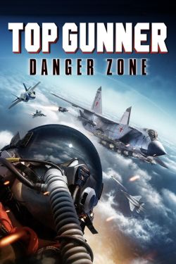  Top Gunner: Danger Zone 