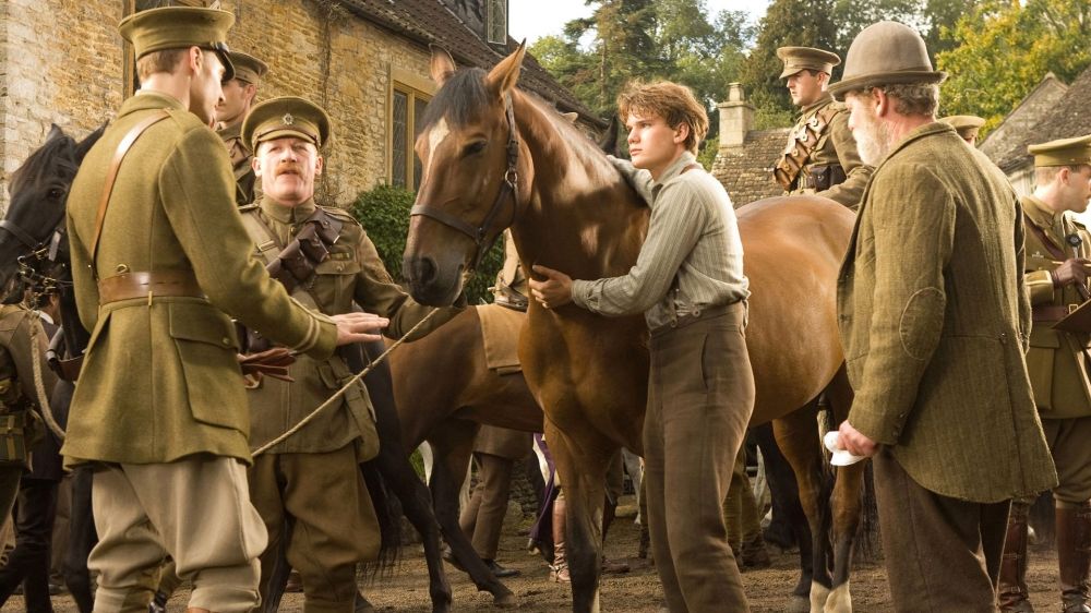  War Horse 