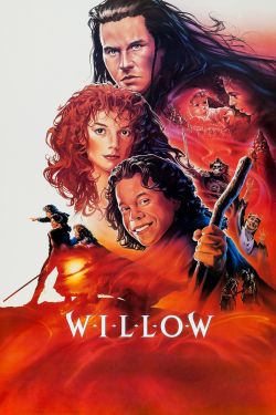  Willow 